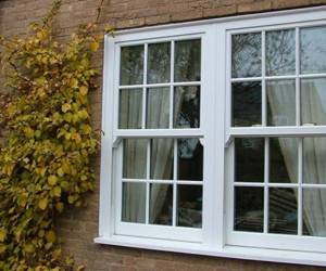 تنوع در طرح و رنگ